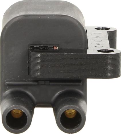 Delphi GN10397-12B1 — Cewka zapłonowa