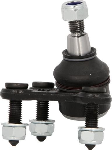 Delphi TC1317 - SWORZEŃ WAHACZA AUDI P. A3 1.2-3.2 03- PR