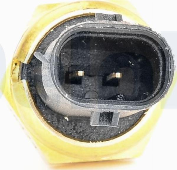 Delphi TS10629-12B1 - CZUJNIK TEMP. PŁYNU CHŁODZĄCEGO BMW 3 E90. 1 F21 1.5-3.0 06-