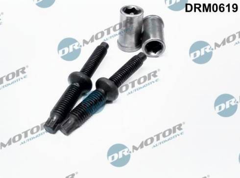 Dr.Motor Automotive DRM0619 - ZESTAW ŚRUB WTRYSKIWACZA CITROEN C4 2.0HDI 98- 4 ELEMENTY