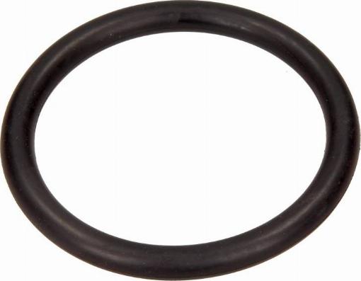 Dr.Motor Automotive DRM025 - USZCZELNIACZ PRZEPUSTNICY DUŻY RENAULT CLIO 98-