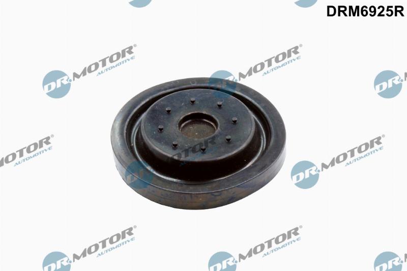 Dr.Motor Automotive DRM6925R — Zestaw naprawczy, odpowietrzenie przestrzeni korbowej