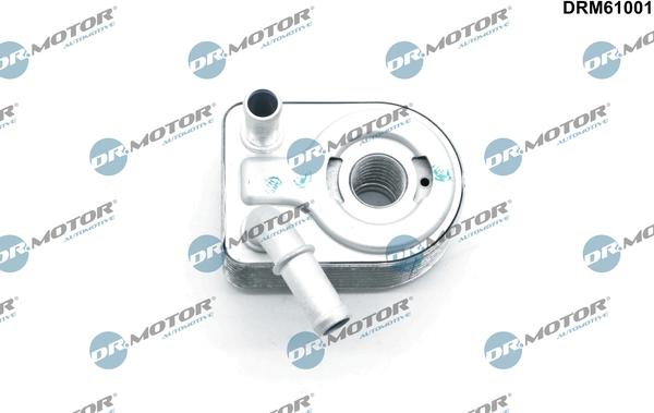 Dr.Motor Automotive DRM61001 - CHŁODNICA OLEJU FORD FEISTA 1.6 TI-VCT 08-