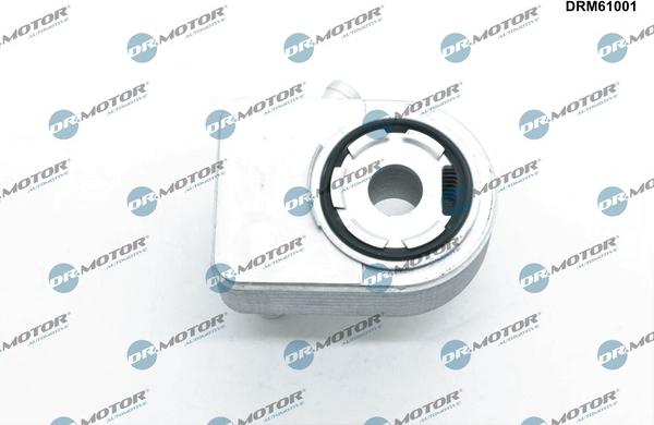 Dr.Motor Automotive DRM61001 - CHŁODNICA OLEJU FORD FEISTA 1.6 TI-VCT 08-