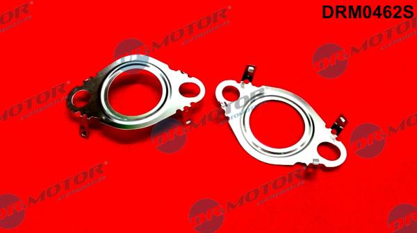 Dr.Motor Automotive DRM0462S - ZESTAW USZCZELEK EGR OPEL VIVARO 2.0CDTI 06-