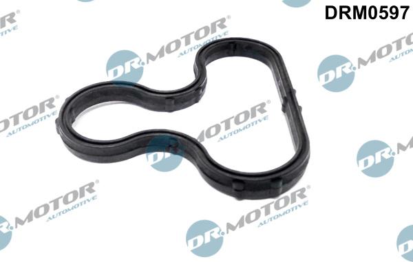 Dr.Motor Automotive DRM0597 - USZCZELKA ALTERNATORA BMW 5 4.0 01-