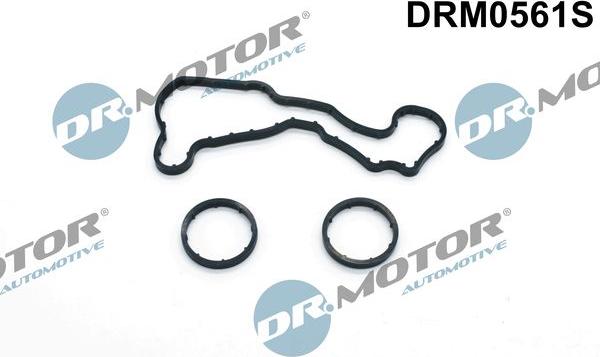 Dr.Motor Automotive DRM0561S - ZESTAW USZCZELEK CHŁODNICY OLEJU AUDI A4 3.0TDI 04-