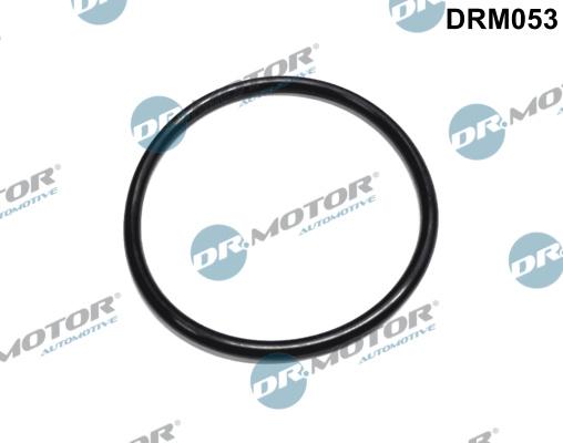 Dr.Motor Automotive DRM053 - USZCZELKA FILTRA PALIWA CITROEN-PEUGEOT 1.9D
