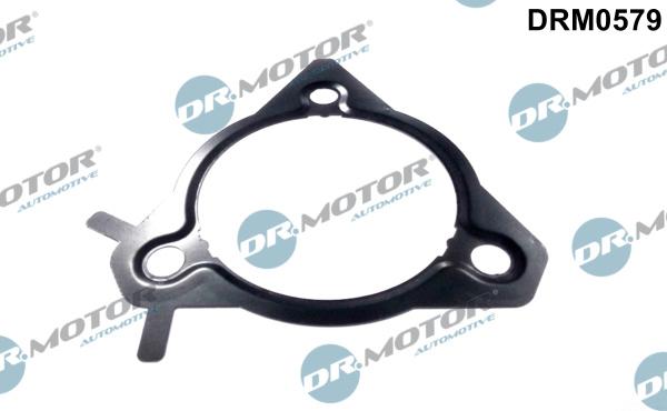 Dr.Motor Automotive DRM0579 - USZCZELKA POMPY WTR. FORD TRANSIT 1.8TDCI 98-