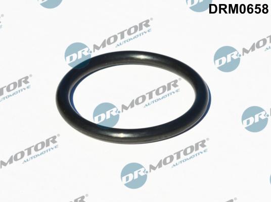 Dr.Motor Automotive DRM0658 — Uszczelnienie, wejście do turbiny (doładowanie)