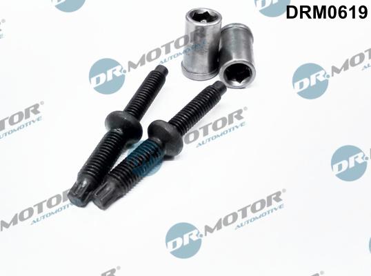 Dr.Motor Automotive DRM0619 - ZESTAW ŚRUB WTRYSKIWACZA CITROEN C4 2.0HDI 98- 4 ELEMENTY