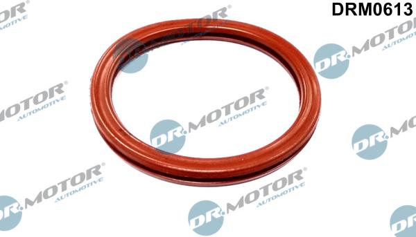 Dr.Motor Automotive DRM0613 - USZCZELKA PRZEPUSTNICY LOGAN 04-
