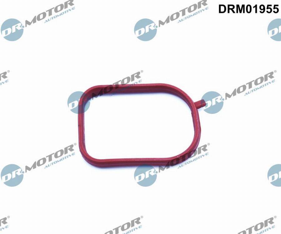 Dr.Motor Automotive DRM01955 — Uszczelka, korpus termostatu