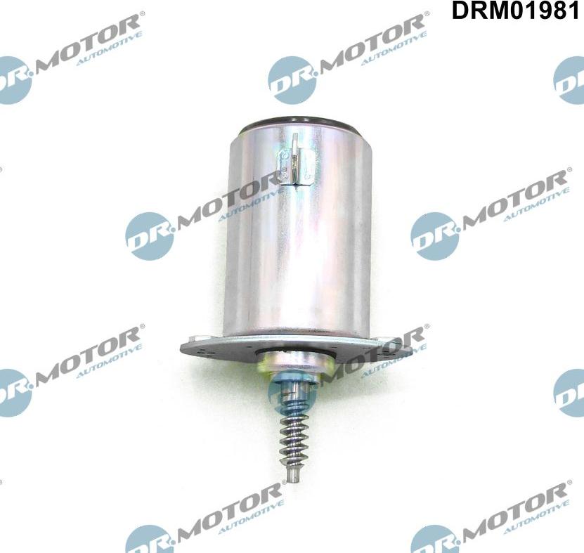 Dr.Motor Automotive DRM01981 — Zawór sterujący, ustawienie wałka rozrządu