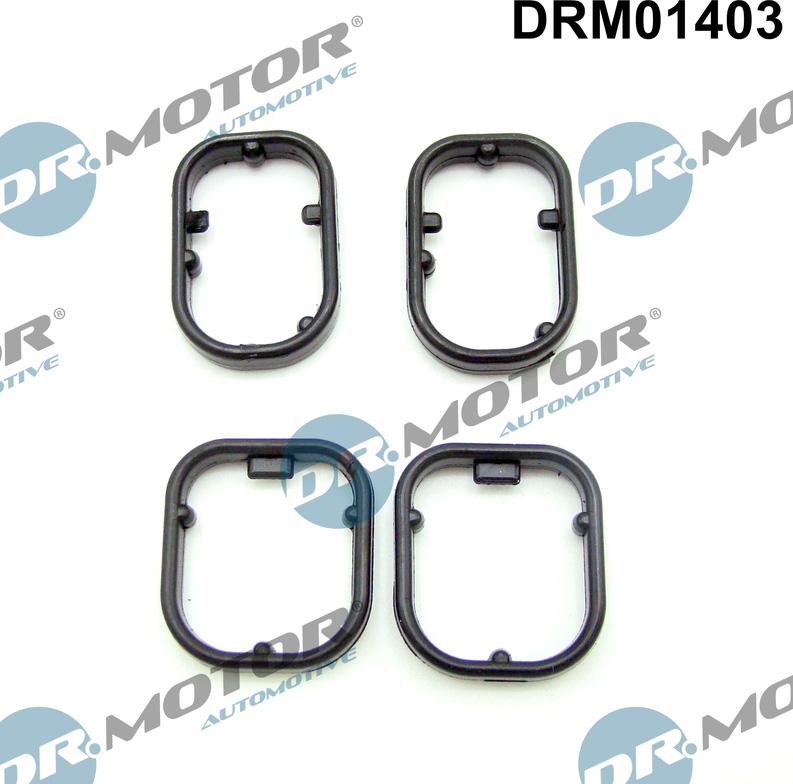 Dr.Motor Automotive DRM01403 - USZCZELKA CHŁODNICY OLEJU BMW 1 F20 1.6 12-