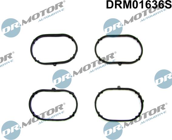 Dr.Motor Automotive DRM01636S — Zestaw uszczelek, kolektor dolotowy
