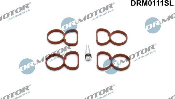 Dr.Motor Automotive DRM0111SL — Zestaw uszczelek, kolektor dolotowy