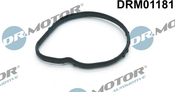 Dr.Motor Automotive DRM01181 — Uszczelka, termostat