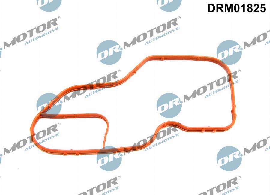 Dr.Motor Automotive DRM01825 - USZCZELKA TERMOSTATU RENAULT CAPTUR 0.9-1.2TCE 13-