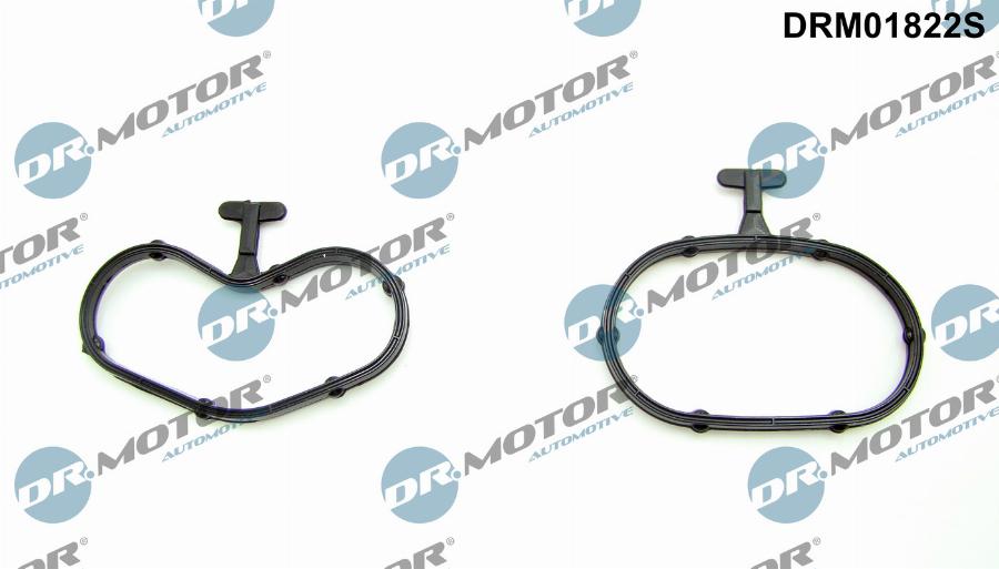 Dr.Motor Automotive DRM01822S — Zestaw uszczelek, chłodnica olejowa