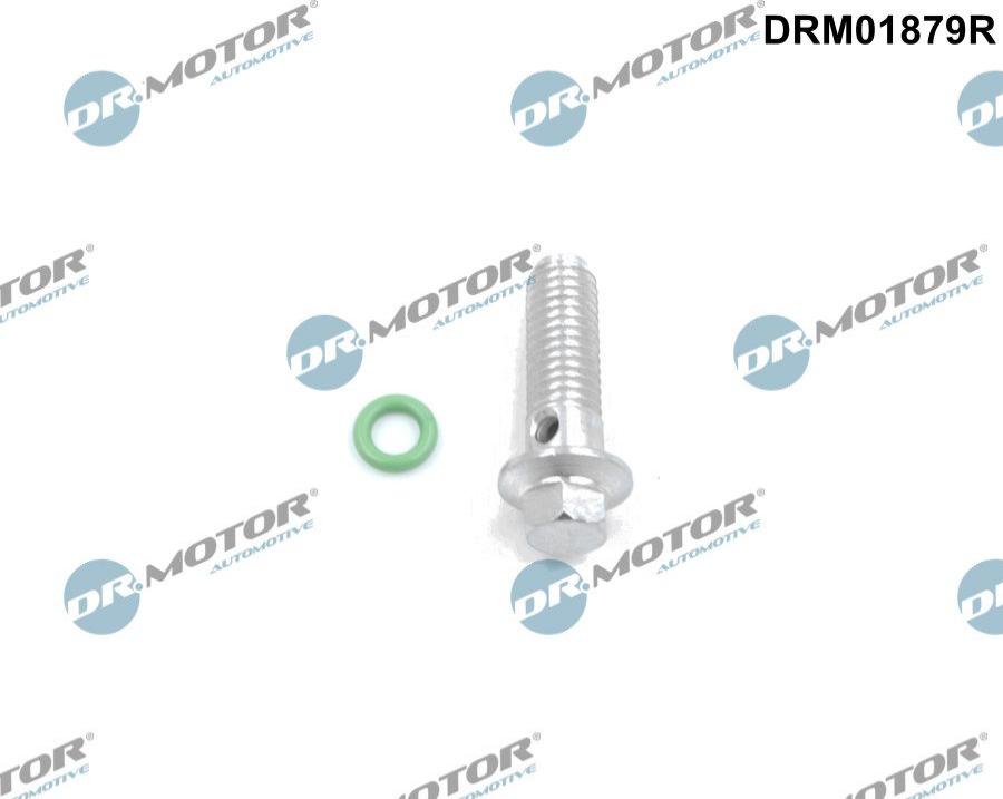 Dr.Motor Automotive DRM01879R — Zestaw naprawczy, pompa olejowa