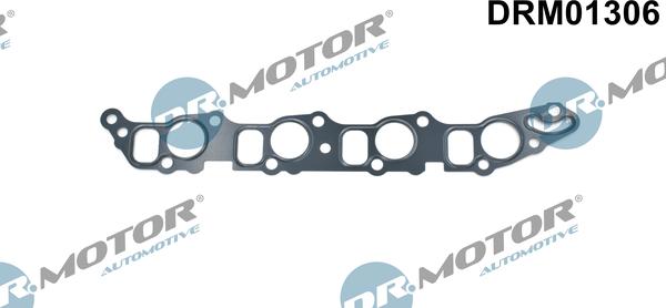Dr.Motor Automotive DRM01306 — Uszczelka, kolektor dolotowy