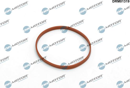 Dr.Motor Automotive DRM01319 - USZCZELKA OBUDOWY KOLEKTORA SSĄCEGO MINI COUNTRYMAN F60 COOPER S 20-