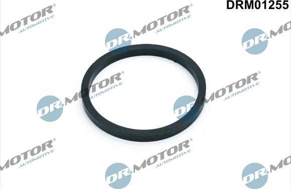 Dr.Motor Automotive DRM01255 — Uszczelka, chłodnica olejowa