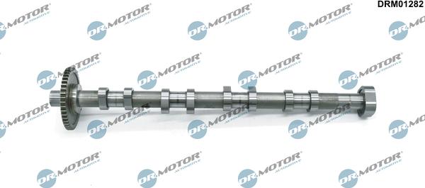 Dr.Motor Automotive DRM01282 — Wałek rozrządu