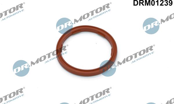 Dr.Motor Automotive DRM01239 — Pierścień uszczelniający, czujnik poziomu oleju silnikowego