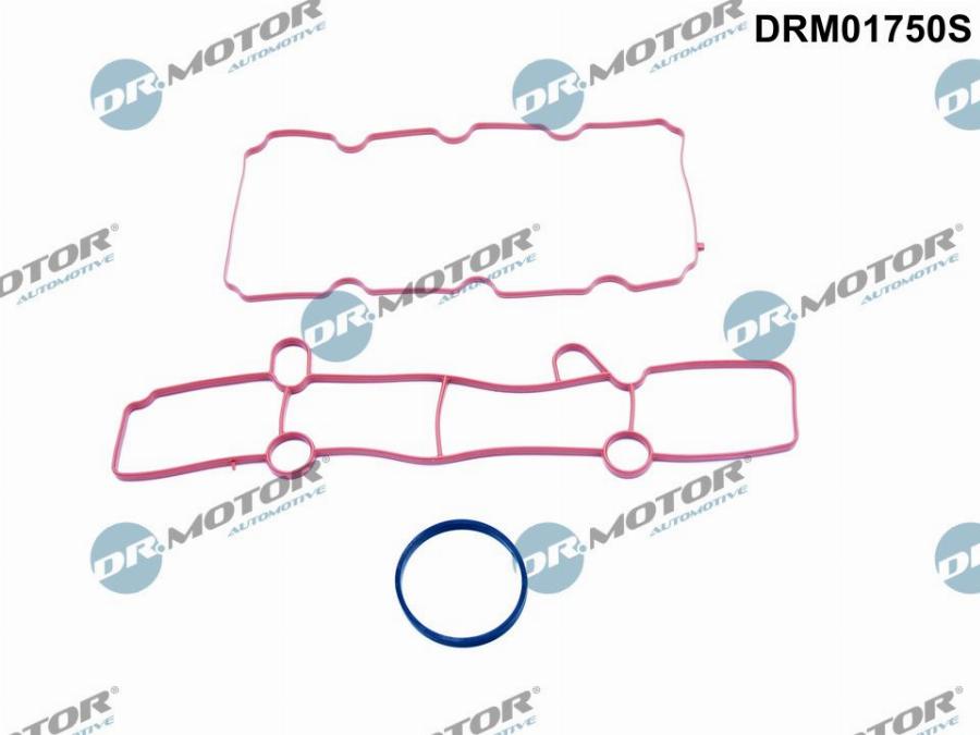 Dr.Motor Automotive DRM01750S — Zestaw uszczelek, kolektor dolotowy