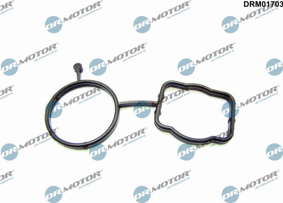 Dr.Motor Automotive DRM01703 — Uszczelka, korpus termostatu
