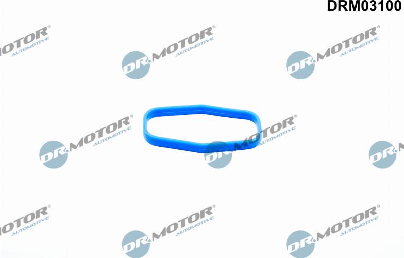 Dr.Motor Automotive DRM03100 — Uszczelka, pompa olejowa