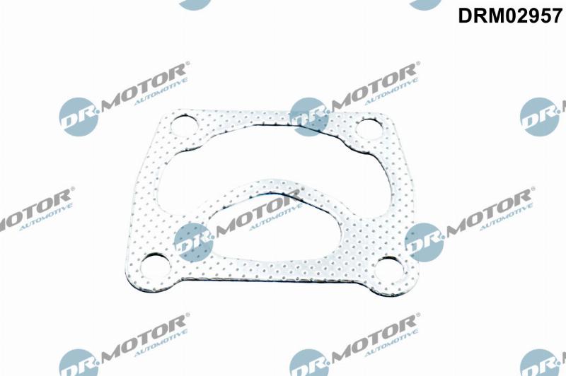Dr.Motor Automotive DRM02957 — Uszczelnienie, turbosprężarka