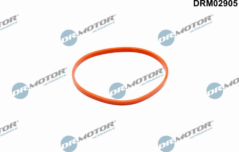 Dr.Motor Automotive DRM02905 — Uszczelka, króciec przepustnicy