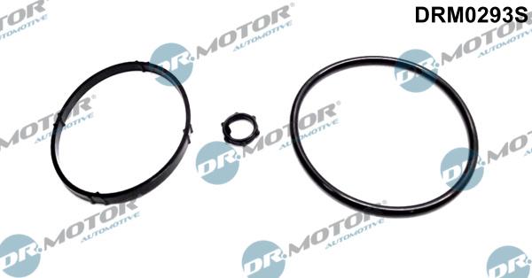 Dr.Motor Automotive DRM0293S - ZESTAW USZCZELEK FILTRA OLEJU PEUGEOT 206 1.1-1.4 98-