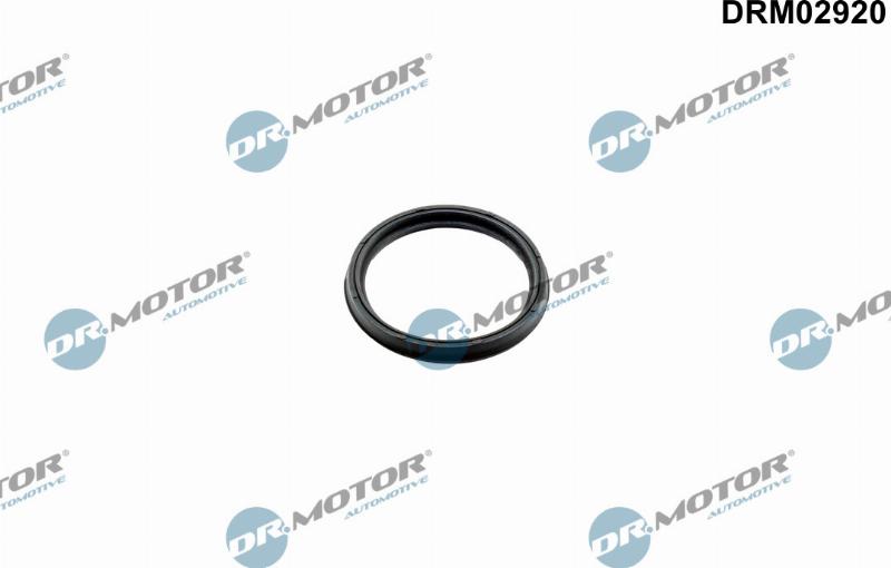 Dr.Motor Automotive DRM02920 — Pierścień uszczelniający, doładowanie
