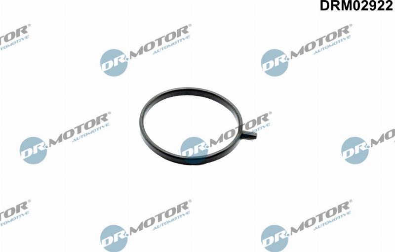 Dr.Motor Automotive DRM02922 - USZCZELKA PRZEWODU POWIETRZA RENAULT 2.0DCI-2.3DCI