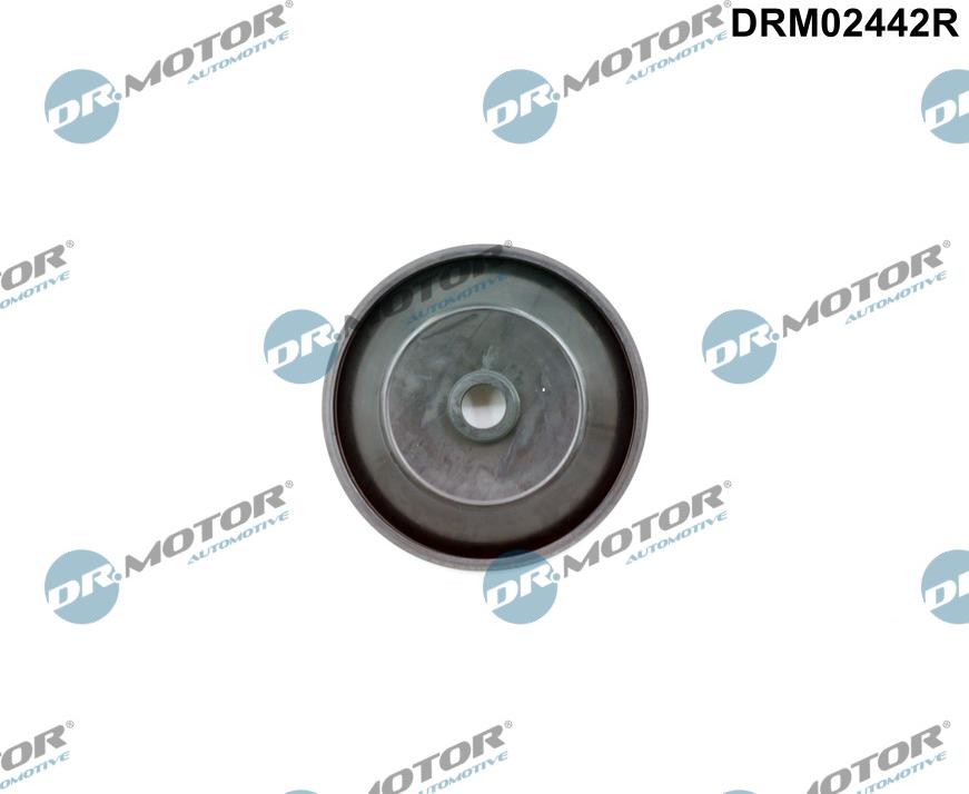 Dr.Motor Automotive DRM02442R — Zawór sterujący, wlot powietrza