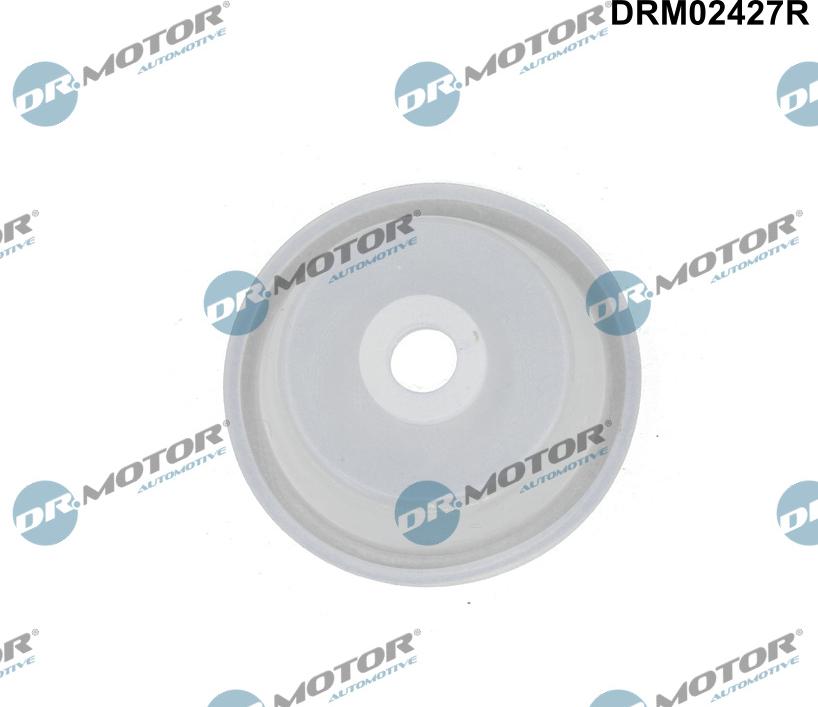 Dr.Motor Automotive DRM02427R — Zawór sterujący, wlot powietrza