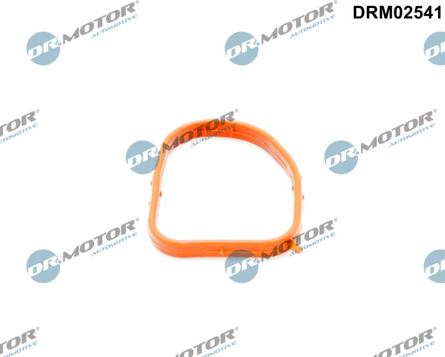 Dr.Motor Automotive DRM02541 — Uszczelnienie, kołnierz przewodu cieczy chłodzącej