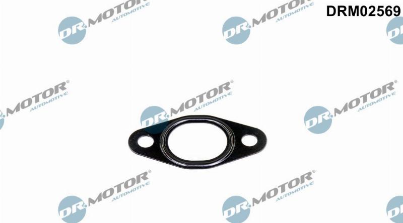 Dr.Motor Automotive DRM02569 — Pierścień uszczelniający, przewód zaworu AGR