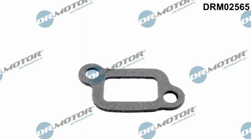 Dr.Motor Automotive DRM02565 — Uszczelka, korpus termostatu
