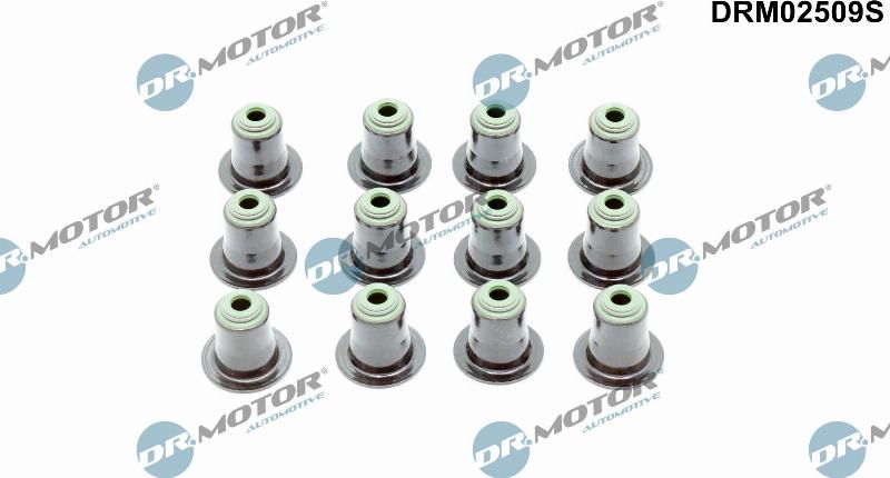 Dr.Motor Automotive DRM02509S — Zestaw uszczelniaczy, trzonek zaworu