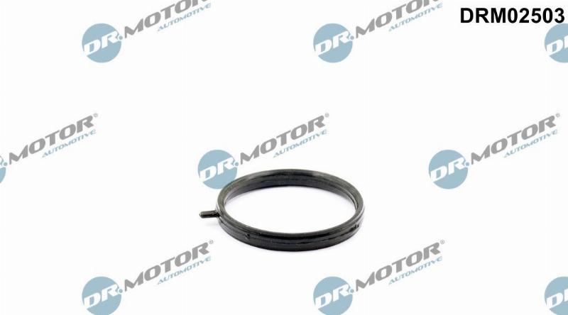 Dr.Motor Automotive DRM02503 — Uszczelka, rurka środka chłodzącego