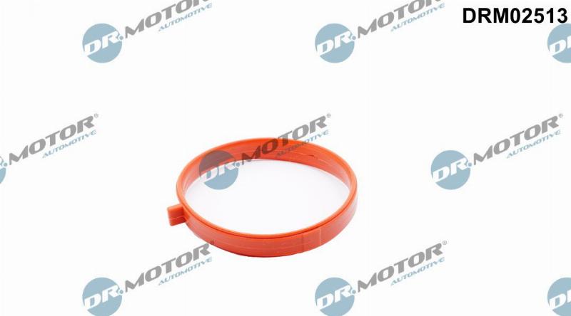 Dr.Motor Automotive DRM02513 - USZCZELKA PRZEPUSTNICY MINI COOPER 1.6 03-