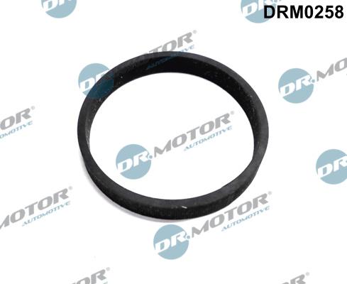 Dr.Motor Automotive DRM0258 - USZCZELKA INTER. FOCUS 2.0 TDCI 03-