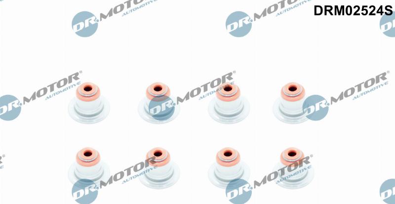 Dr.Motor Automotive DRM02524S — Zestaw uszczelniaczy, trzonek zaworu