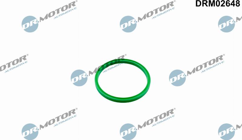 Dr.Motor Automotive DRM02648 — Pierścień uszczelniający, elast. przewód pow. do turbiny