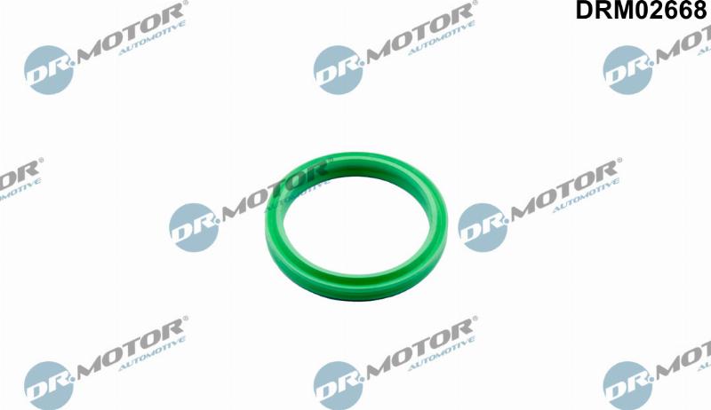 Dr.Motor Automotive DRM02668 - USZCZELKA PRZEWODU POWIETRZA RENAULT 0.9TCE-1.2TCE